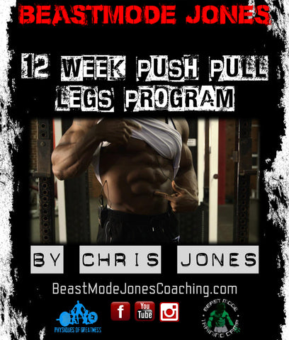 12 Week Push, Pull, Legs Program (with form tutorial vids)